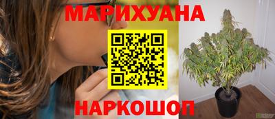 крисы Краснокаменск