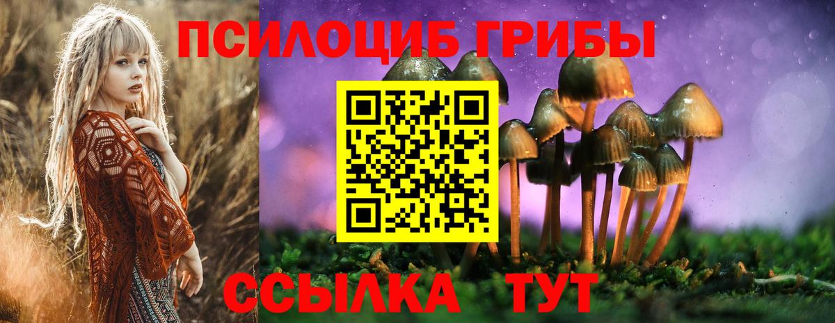 Галлюциногенные грибы Cubensis Зима
